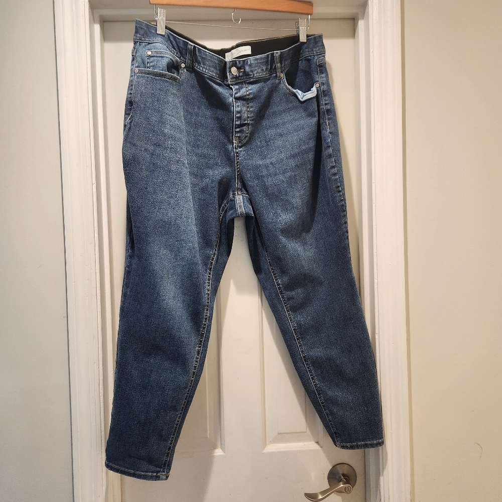 Cato 20W Petite Mid Rise Stretch Denim Jeans Women's Plus Size 20WP Blue